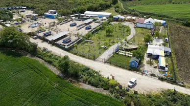 Beşerler Tarafından Şiddete Uğramışlardı, Emekliliğe Ayrıldılar