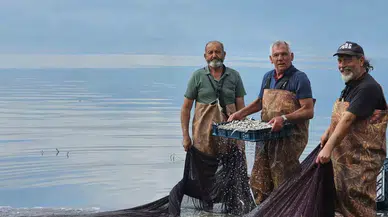 Gümüş Balığının İhracat Serüveni Başladı
