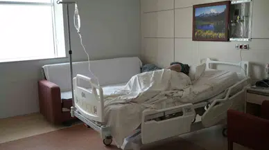 Gümüşhane’de Son 10 Günde Kene Olaylarında Artış Yaşanıyor