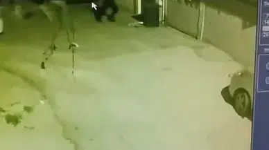 Hududunu Çöp Kutusundan Çıkardı