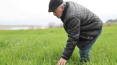 İlkbahar Yağışları Çiftçilerin Yüzünü Güldürdü