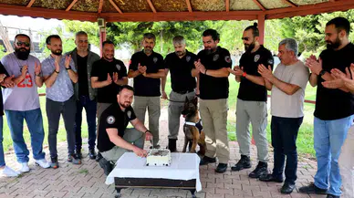 Narkotik Köpeği Hulk’un 7’nci Yaş Günü Pasta Kesilerek Kutlandı