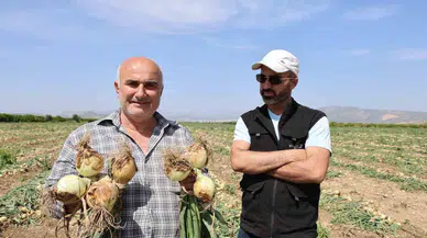 Sofrada Göz Yaşartan Soğan Tarlada Üreticinin Yüzünü Güldürdü