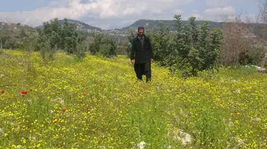 Yayla ve Köyler Baharla Yeşile Bürünerek Renklendi