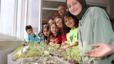 Amasyalı Öğrenciler Okulda Cet Tohumu Grup Fide Yetiştirdi