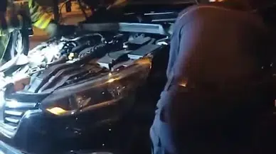 Arabaya Giren Yılan Bu türlü Çıktı