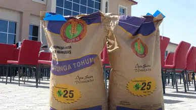 Ardahan’da 210 Çiftçiye 45 Ton Korunga Tohumu Dağıtıldı