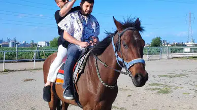 At Üzerinde Tıraş
