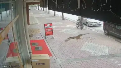 Bu Sefer Denetimden Çıkan Araç Değil, Kuş Oldu
