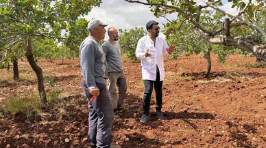 Dolu ve Yağmur Sonrası Ziraat Mühendisleri Alana İndi