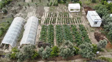 Şiddetli Yağmurun Tesirli Olduğu Hatay’da Tarım Yerleri Sular Altında Kaldı
