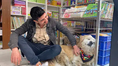 Yavruyken Arabanın Çarpıp Felç Bıraktığı Köpek, Esnafın Maskotu Oldu