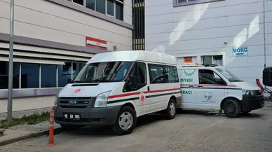 Arıların Soktuğu Kadın Yaşamını Yitirdi