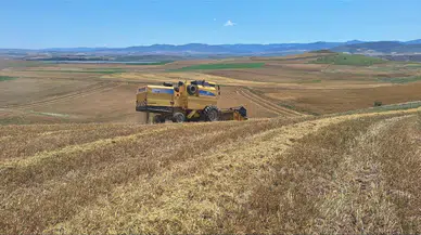 Bayat’ta Arpa Hasadına Başlandı
