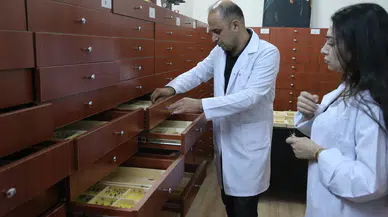 Böcek Müzesine Çorum Desteği