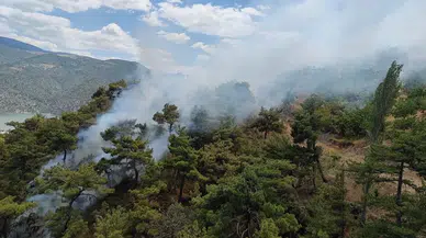 Çorum’da 5 Dekar Alan Yandı