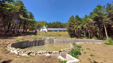 Doğada Renk Cümbüşü: Çorum Çatak Tabiat Parkı