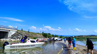 Gören bir kez daha baktı, Çorum’da 21 Kilometre Uzunluğunda Balık Ağı!