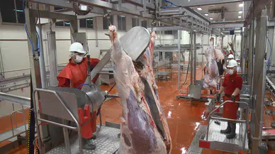 Kurban Kesim Yerleri Belirlendi