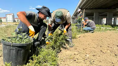 Şehrin Farklı Yerlerinde Çalışmalar Sürüyor