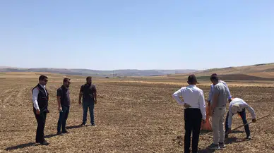 Tohumluk Üretim Alanları Artırılacak