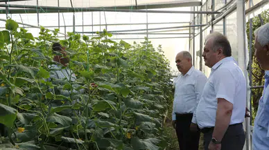 Vali Dağlı, Seraları İnceledi