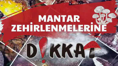 Valilikten Mantar Uyarısı