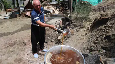Adana Sıcağında Dutun Şifalı Seyahati Başladı