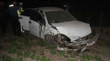 Araba Ağaca Çarpıp Zerzevat Bahçesine Girdi: 5 Yaralı