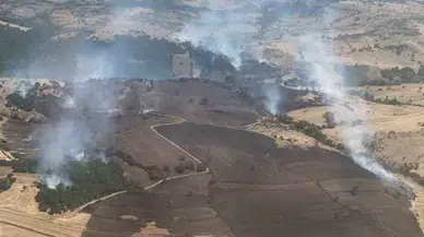 Balıkesir’deki Orman Yangını Denetim Altında
