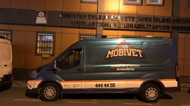 Beşiktaş Belediyesi Yangın Felaketinin Yaşandığı Bölgeye Hayvan Ambulansı Gönderdi