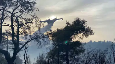 Çanakkale’deki Orman Yangını 8 Saat Sonra Denetim Altına Alındı