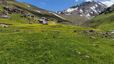 Dulağa Yaylası’nın Alpler’i Aratmayan Hoşluğu
