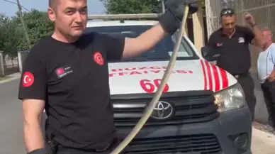 Düzce’de Markette Yılan Paniği