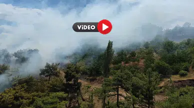 Ormanlık Alanda Yangın, 5 Dekar Arazi Küle Döndü