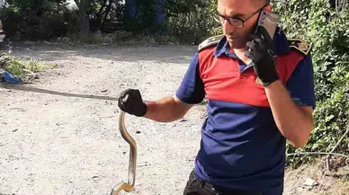 İş Yerine Giren Yılanı İtfaiye Grupları Yakalayıp Tabiata Saldı