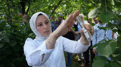 Kahverengi Kokarca ile Gayret: 14 Bin ‘Samuray Arısı’ Tabiata Salındı