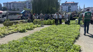 Rize’de Cet Tohumlarından Üretilen 40 Bin Zerzevat Fidanı Vatandaşlara Dağıtıldı