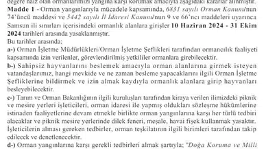 Samsun’da Ormanlık Alanlara Girişler Yasaklandı