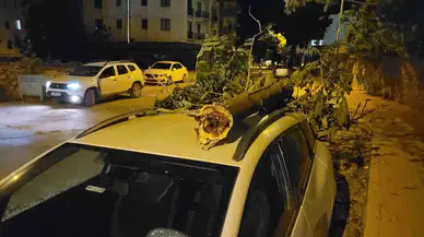 Şiddetli Rüzgardan Kırılan Ağaç Kısmı Aracın Üzerine Düştü