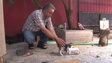 Sokak Hayvanlarını Beslediği İçin Darp Edildi