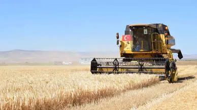 Sultansuyu’nda Hububat Hasadı Başladı