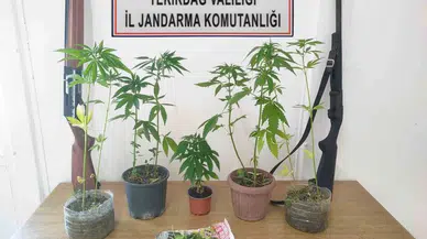 Tekirdağ’da Uyuşturucu ve Silah Operasyonunda 10 Gözaltı