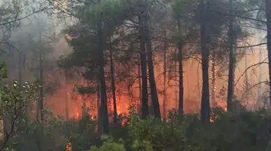 Toprakta Çıkan Yangın Ormana Sıçradı, 25 Dekar Alan Yandı