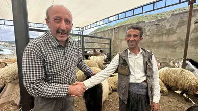 Yüksekova’da Kurbanlıklar Görücüye Çıktı