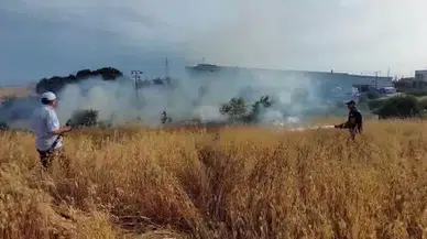 Yulaf Tarlasında Yangın