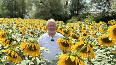 Aşgın: Belediyenin Tarlasından İhtiyaç Sahiplerinin Sofrasına