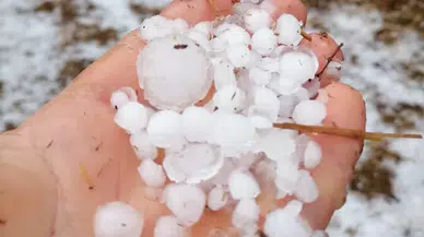 “Bir an Önce Hasar Tespiti Yapılıp Zarar Karşılanmalı”