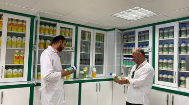 Çorum’da Eş Zamanlı Bitki Ürünleri Denetimi