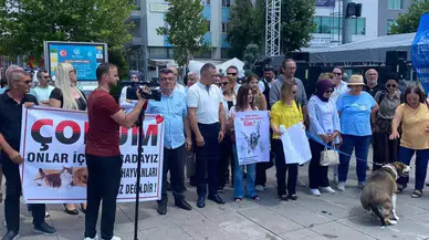Çorum’da Hayvanseverler Meydana İndi